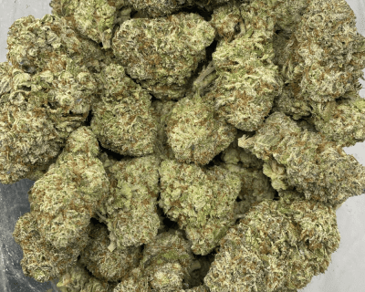 SPACE MONKEY (EXOTICS)