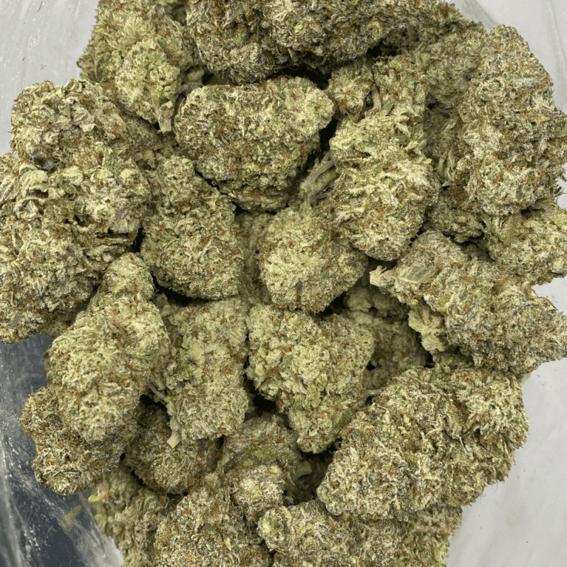 SPACE MONKEY (EXOTICS)