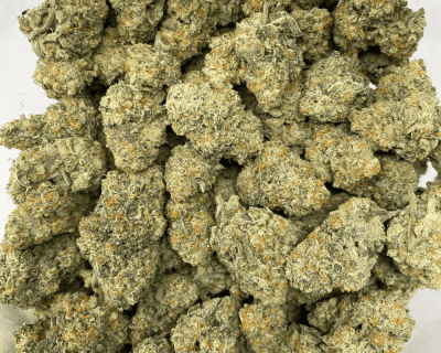 WHITE CASTLE (EXOTIC DEAL) - Image 3