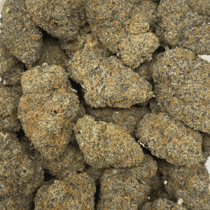 WIDOW RUNTZ (EXOTIC) - Image 3