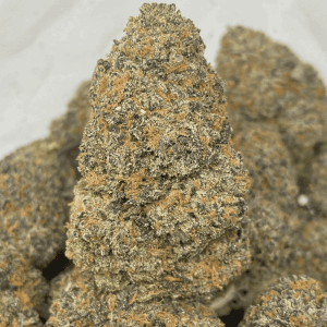 WIDOW RUNTZ (EXOTIC) - Image 1