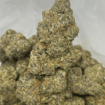 Wizard Gas Cake LSO