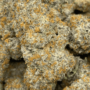 Wizard x Ice Cream Cake LSO (EXOTIC)