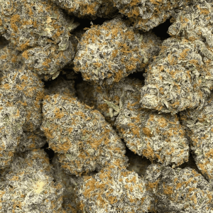 WIZARD X ICE CREAM CAKE LSO (EXOTIC) - Image 2