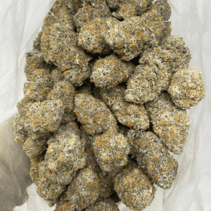 WIZARD X ICE CREAM CAKE LSO (EXOTIC) - Image 3