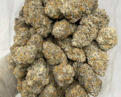 WIZARD X ICE CREAM CAKE LSO (EXOTIC) - Image 3