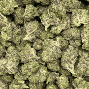 94 OCTANE (SMALLS) (GAS) (DEAL OF THE WEEK) - Image 2