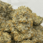 CUPCAKE FROSTING LSO (EXOTIC)