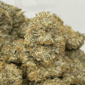 CUPCAKE FROSTING LSO (EXOTIC)