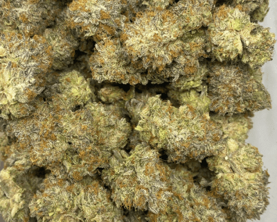 CUPCAKE FROSTING LSO (EXOTIC) - Image 3