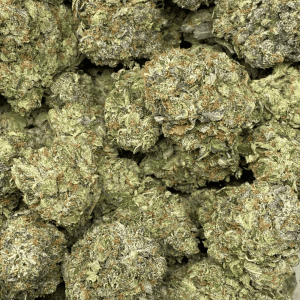 DEATH ROCKSTAR (GAS DEAL) - Image 2