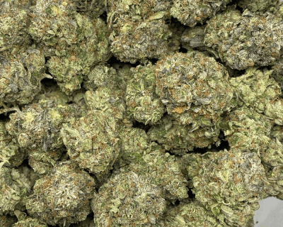 DEATH ROCKSTAR (GAS DEAL) - Image 3