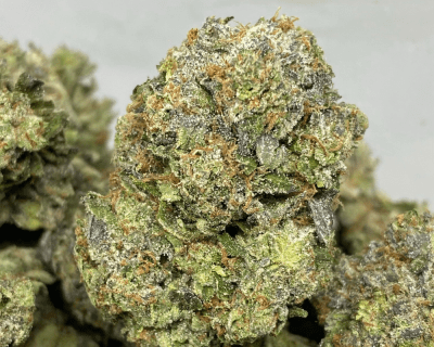 DEATH ROCKSTAR (GAS)