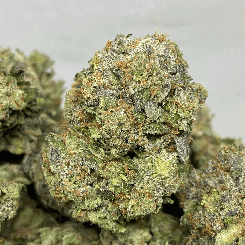 DEATH ROCKSTAR (GAS) DEATH ROCKSTAR (GAS)