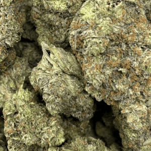 DEATH BY GAS (BIGS) - QUAD GAS - Image 2