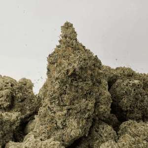 DEATH BY GAS (BIGS) (QUAD GAS)