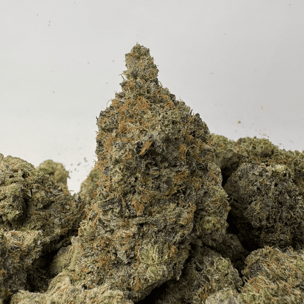 DEATH BY GAS (BIGS) (QUAD GAS) DEATH BY GAS (BIGS) (QUAD GAS)