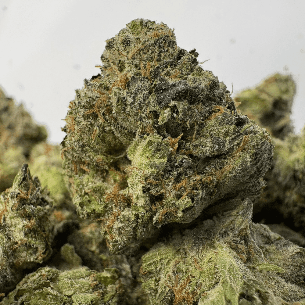 DEATH BY GAS (SMALLS) (QUAD GAS)