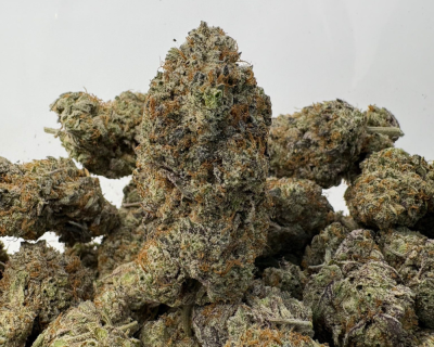 DO SI DOS (BIGS) (TRIP EXOTICS)