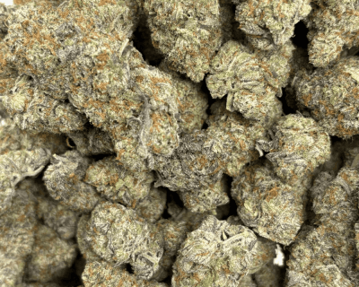 DO SI DOS (BIGS) - TRIP EXOTICS (DEAL OF THE WEEK) - Image 3