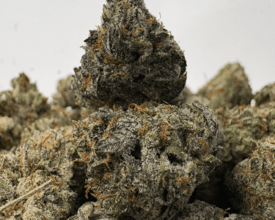 DO SI DOS (SMALLS) (TRIP EXOTICS)