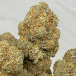 DOSI CAKE (EXOTIC)