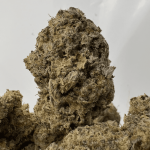 FUNKY MONKEY (BIGS) (TRIP EXOTICS)