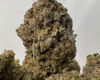 FUNKY MONKEY (BIGS) (TRIP EXOTICS)