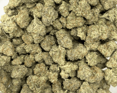 FUNKY MONKEY (SMALLS) - TRIP EXOTICS - Image 3