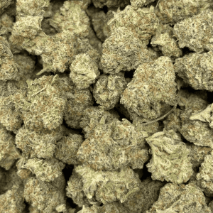 FUNKY MONKEY (SMALLS) - TRIP EXOTICS - Image 2