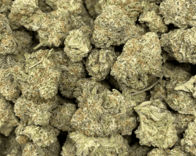 FUNKY MONKEY (SMALLS) - TRIP EXOTICS - Image 2