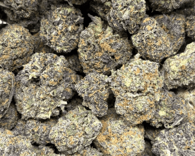 GELATO 45 (BIGS) - TRIP EXOTICS - Image 2