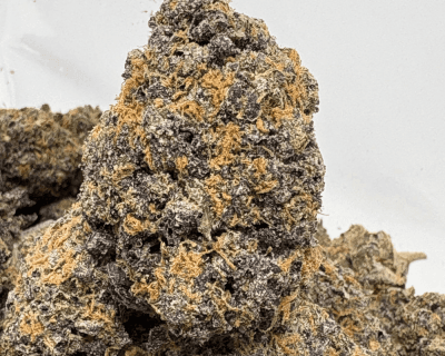 GELATO 45 (BIGS) (TRIP EXOTICS)