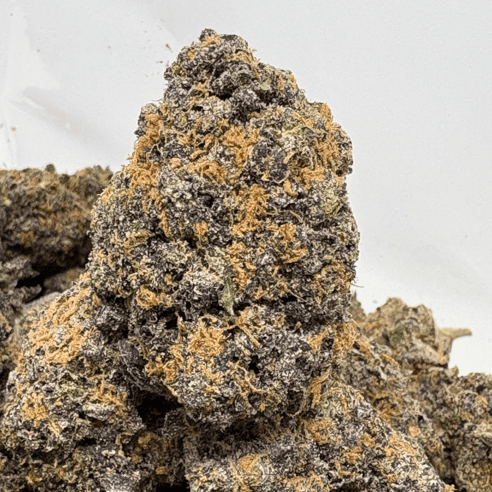 GELATO 45 (BIGS) (TRIP EXOTICS)