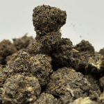 GELATO 45 (SMALLS) (TRIP EXOTICS)