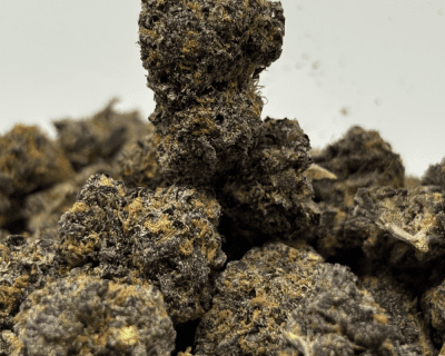 GELATO 45 (SMALLS) (TRIP EXOTICS)