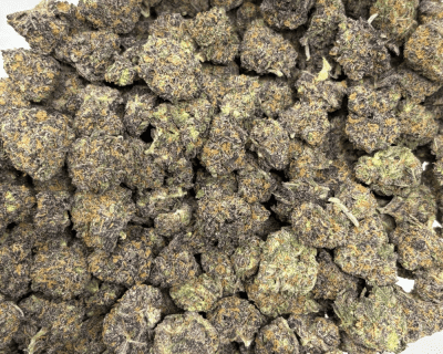 GELATO 45 (SMALLS) - TRIP EXOTICS - Image 3