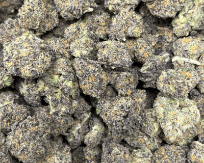 GELATO 45 (SMALLS) - TRIP EXOTICS - Image 2