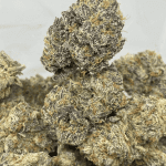 GOOEY GELATO LSO (CRAFT EXOTICS)