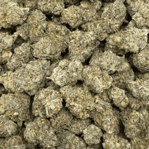 GOOEY GELATO LSO - QUAD EXOTICS - Image 3