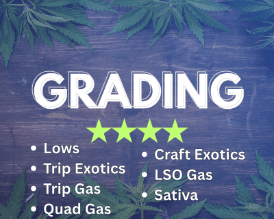 New Grading System