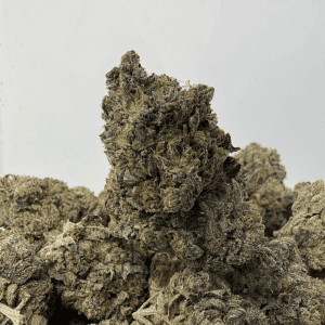 GREASY OG (BIGS) (TRIP GAS)