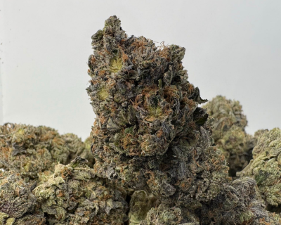 GREASY OG (BIGS) (TRIP GAS)