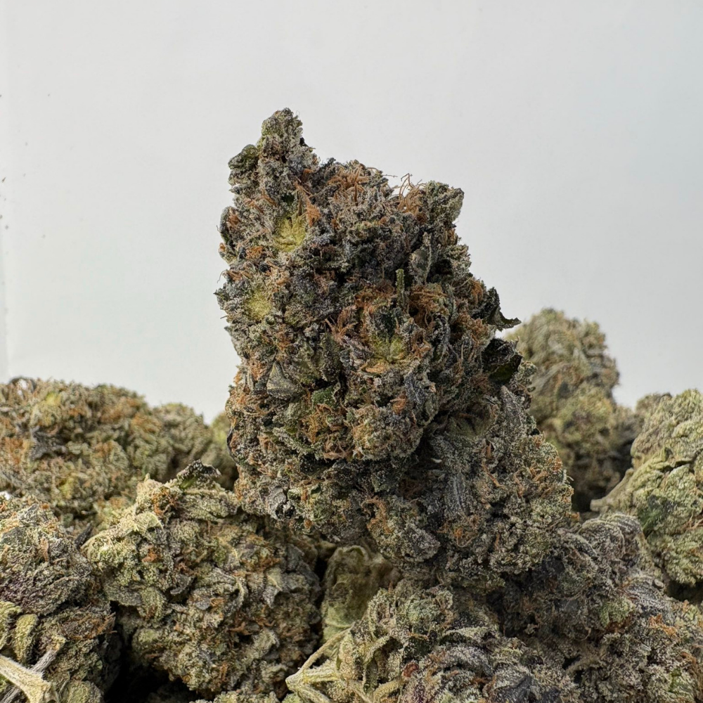 GREASY OG (BIGS) (TRIP GAS) GREASY OG (BIGS) (TRIP GAS)