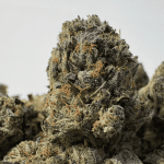 GREASY OG (SMALLS) (TRIP GAS)