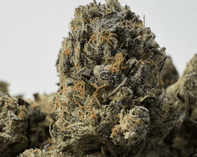 GREASY OG (SMALLS) (TRIP GAS)