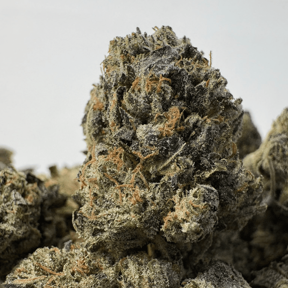 GREASY OG (SMALLS) (TRIP GAS)