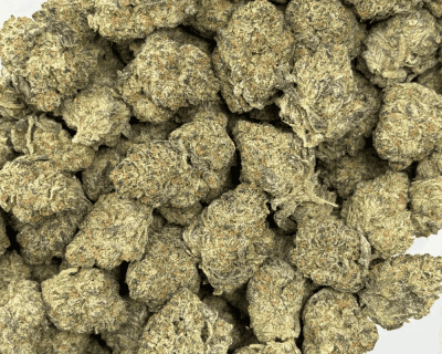 GUSHERS (BIGS) - TRIP EXOTIC (DEAL OF THE WEEK) - Image 3