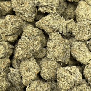 GUSHERS (BIGS) - TRIP EXOTIC (DEAL OF THE WEEK) - Image 2