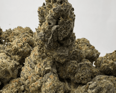 GUSHERS (BIGS) (TRIP EXOTICS)